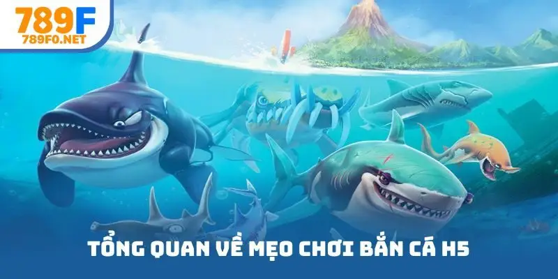 Tổng quan về mẹo chơi bắn cá H5