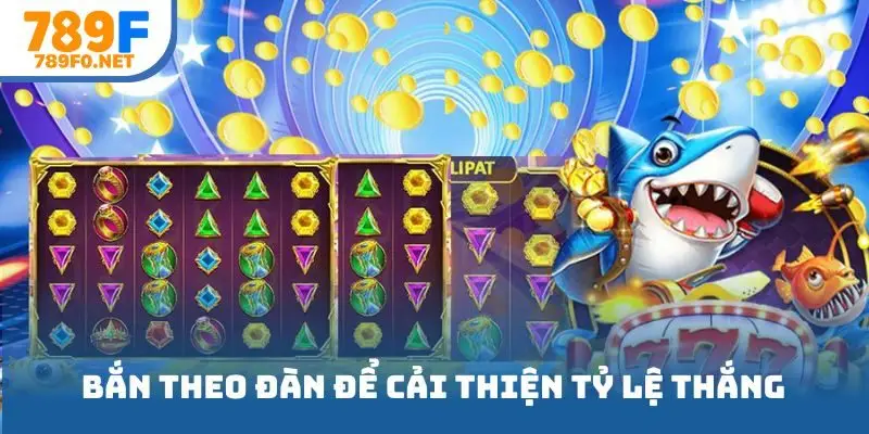 Bắn theo đàn để cải thiện tỷ lệ thắng